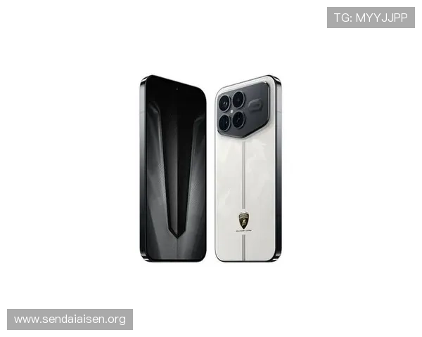 尊龙凯时手机娱乐多平台兼容支持多种手机型号满足不同用户的使用需求