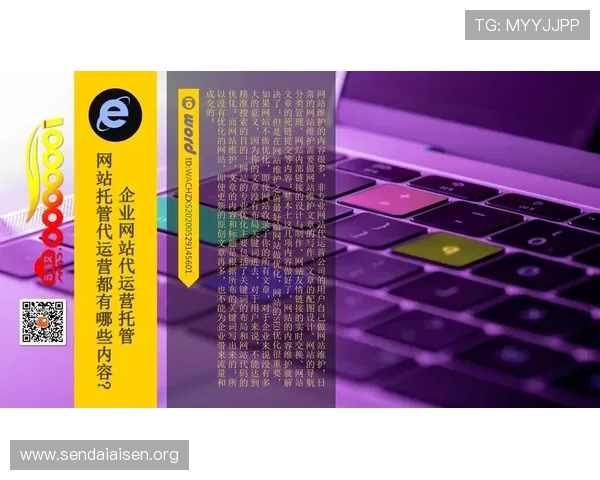 尊龙凯时体育域名维护与优化策略确保网站长期稳定运营